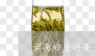 云南名茶-云南的普洱茶属于什么茶 普洱茶是一种什么茶