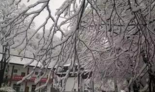 阳春三月下雪的句子 三月下雪有什么说法