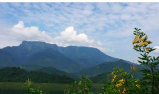 瓦屋山水库多大 瓦屋山水库