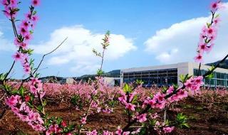 表示春天的成语早春二月、阳春二月、春色宜人、春风习习、桃李春风、含苞欲放