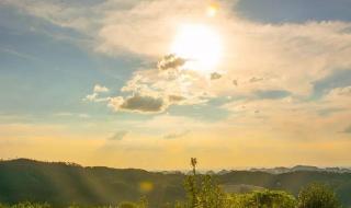 抖音夕阳西下偶尔回家是什么歌 夕阳西下鸟儿回家是什么歌