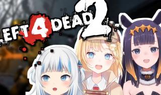 玩不到left4dead2.怎么办 left4dead2