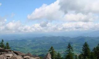 广州最高的山 广州龙头山森林公园