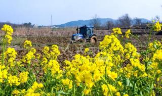 安徽省,庐江县有哪些游玩的风景区或者古迹 安徽省合肥市庐江县